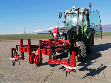 Cultivating machine for roses and lavender