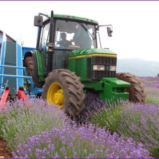 Lavender Harvester