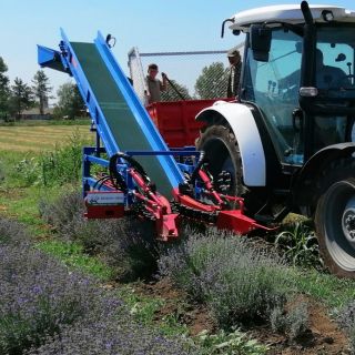 Lavender Harvester MKL 2R for trailer