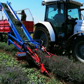 Lavender Harvester MKL 2R for trailer